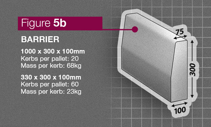 Barrier Fig 5B